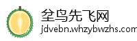 坌鸟先飞网
